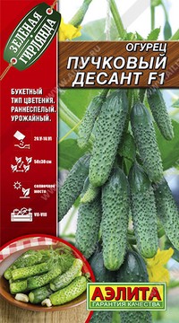 Огурец Пучковый десант F1