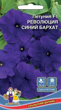 Петуния РЕВОЛЮЦИЯ СИНИЙ БАРХАТ F1