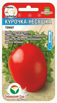 Томат Курочка-несушка