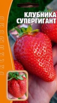 Клубника Супергигант