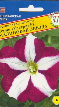 Петуния гранд.