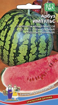 Арбуз ИМПУЛЬС