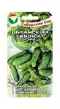 Огурец Цыганский табор F1