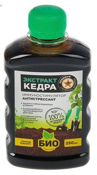 ЭКСТРАКТ КЕДРА