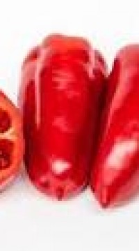 Перец сладкий Темп F1