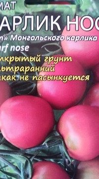 Томат Карлик нос