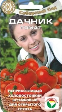 Томат Дачник