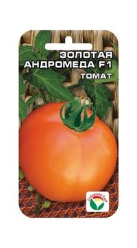 Томат Золотая Андромеда F1