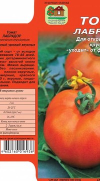Томат Лабрадор