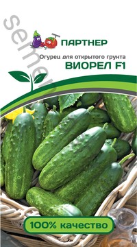 Огурец Виорел F1