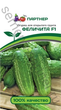 Огурец Феличита F1