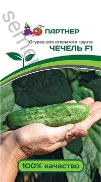 Огурец Чечель F1