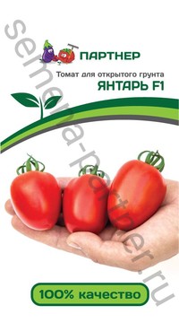Томат Янтарь
