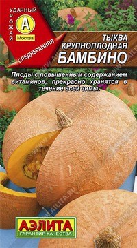 Тыква Бамбино