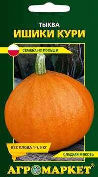 Тыква Ишики кури