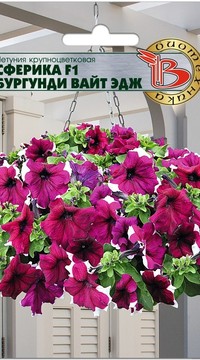 Петуния Сферика Бургунди Вайт Эдж F1