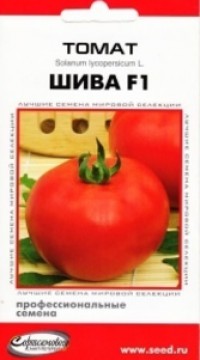Томат  Шива F1 profi