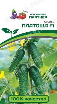 Огурец Платоша F1