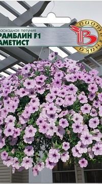 Петуния Каскад Рамблин F1 Аметист
