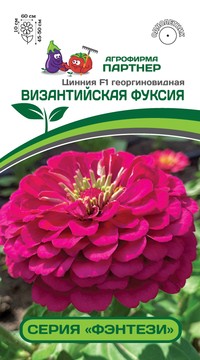 Цинния Византийская Фуксия георгиновидная