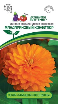 Цинния Мандариновый Конфитюр махровая