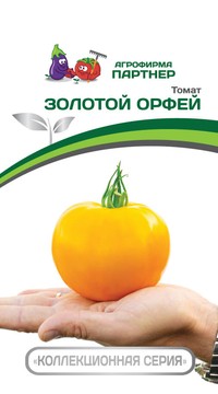 Томат Золотой Орфей