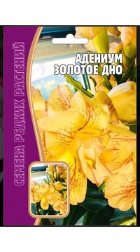 Адениум Золотое дно