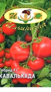 Томат Кавалькада F1