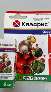 Квадрис