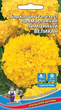 Бархатцы Лимонный великан