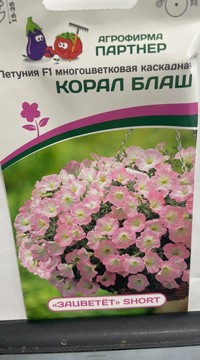 Петуния Корал Блаш F1