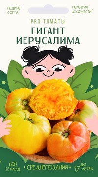 Томат Гигант Иерусалима