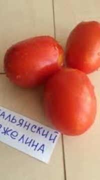 Томат Итальянская Анджелина