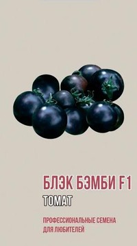 Томат Блэк Бэмби