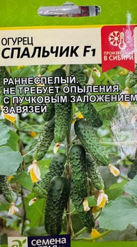 Огурец Спальчик F1