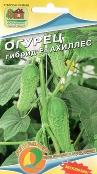 Огурец гибрид F1 Ахиллес