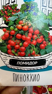 Томат Пиноккио