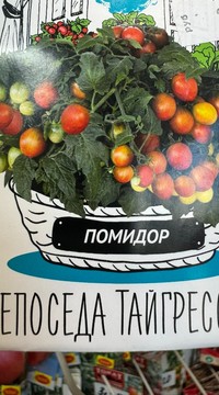 Томат Непоседа Тайгресс F1