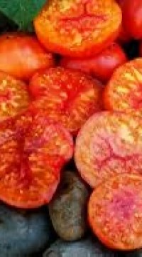 Томат Радужный Сердцевидный Джаз