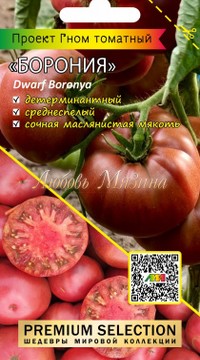 Томат Гном Борония