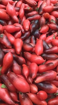 Томат Кумкват розовый опал