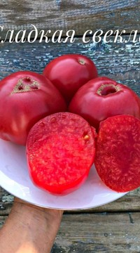 Томат Сладкая Свекла