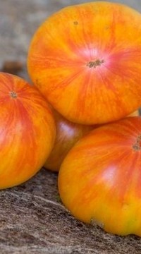 Томат Конфетти