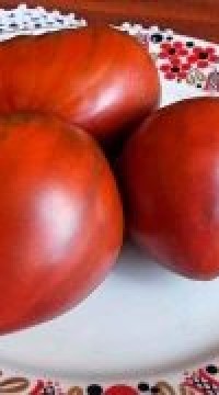 Томат Балтийский шоколад