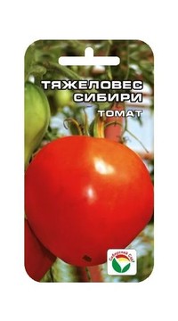 Томат Тяжеловес Сибири СС