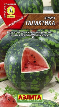 Арбуз Галактика