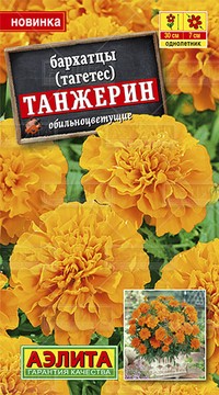 Бархатцы (тагетес) Танжерин обильноцветущие
