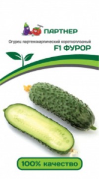 Огурец партенокарпический Фуро F1 ( 2-ной пак.)