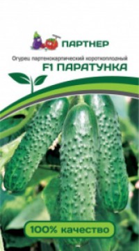 Огурец партенокарпический Паратунка F1