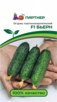 Огурец партенокарпический Бьёрн F1 ( 2-ной пак.)